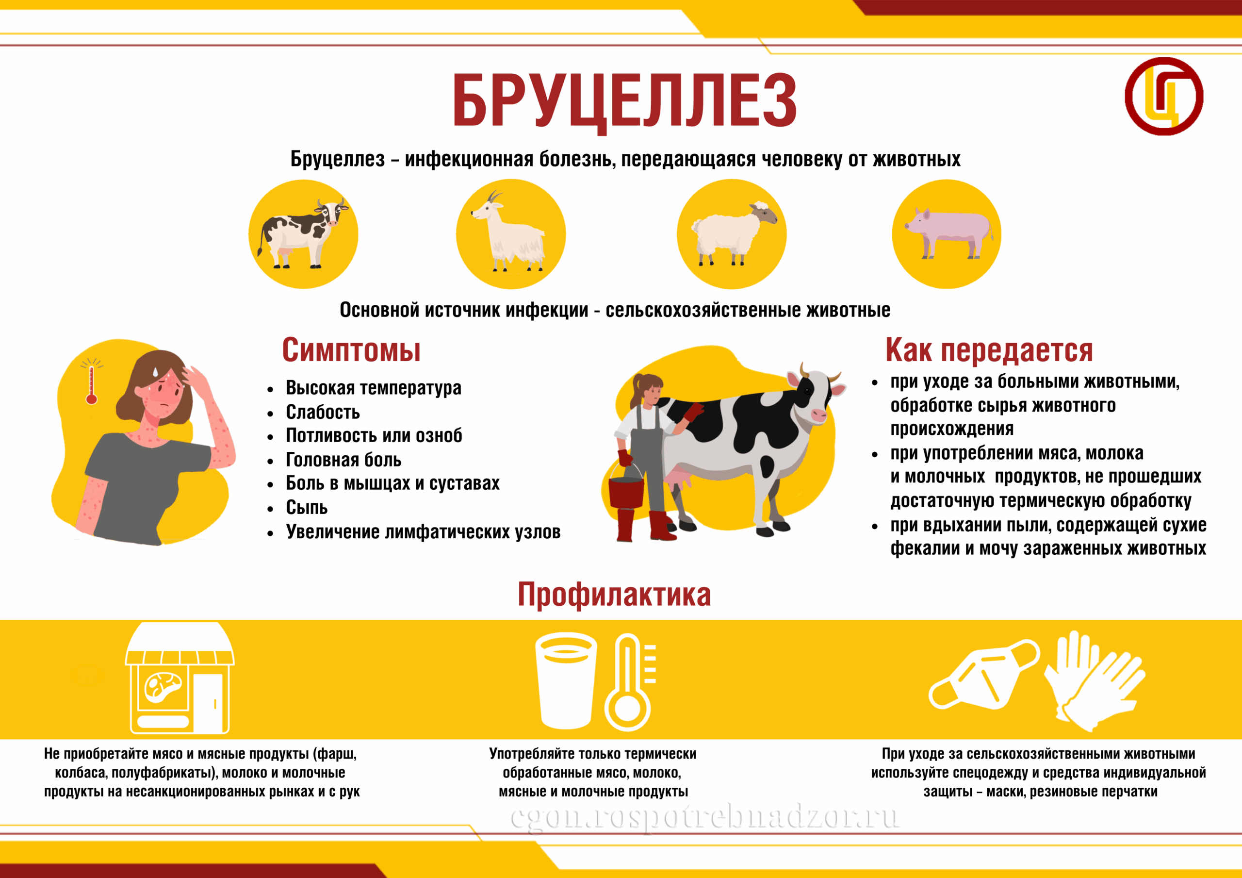 Бруцеллез Памятка